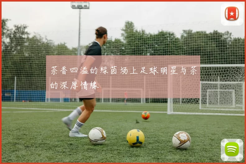 茶香四溢的绿茵场上足球明星与茶的深厚情缘