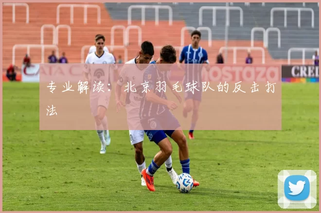 专业解读：北京羽毛球队的反击打法