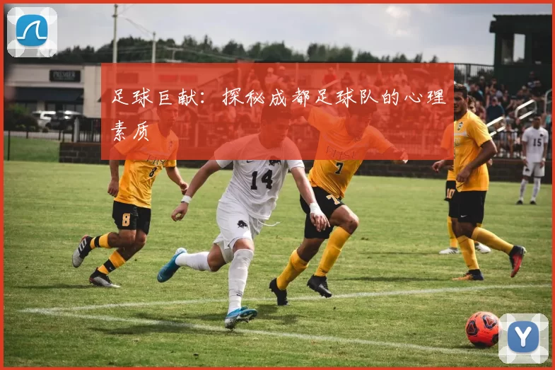 足球巨献：探秘成都足球队的心理素质