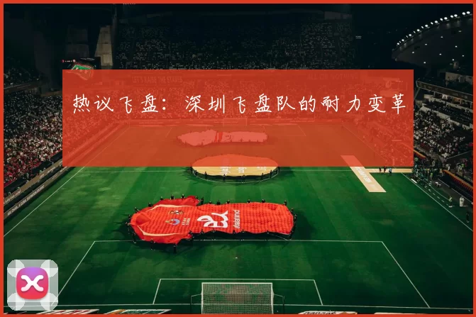 热议飞盘：深圳飞盘队的耐力变革