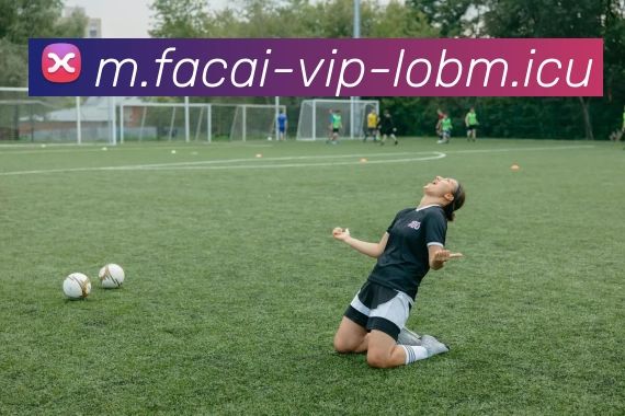 乐鱼体育平台生态图